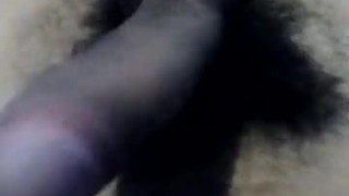 Amateur
